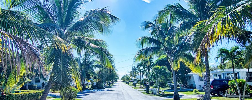 Live in Palmetto Bay -- How to Live in Miami / Village of Palmetto Bay